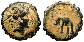 Seleucid Kingom Bronze 2-1 Century BC