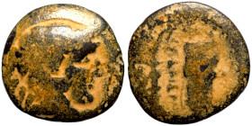 Seleucid Kingom Bronze 2-1 Century BC