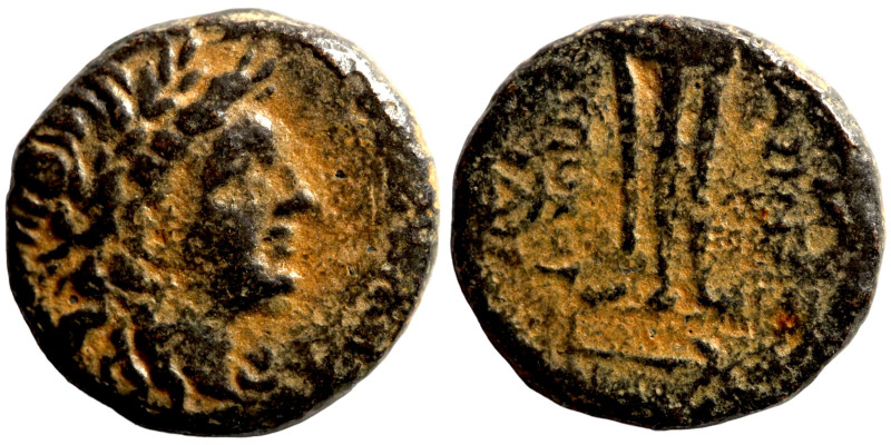 Seleucid Kingom Bronze 2-1 Century BC

18mm 5,38g