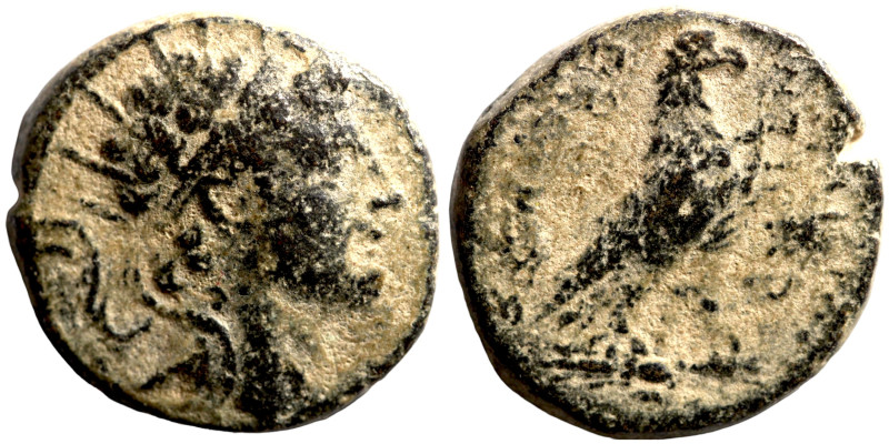 Seleucid Kingom Bronze 2-1 Century BC

20mm 9,00g