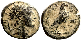 Seleucid Kingom Bronze 2-1 Century BC