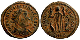 Roman Provincial Coins. 1st - 4th Century AD. Ae