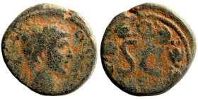 Roman Provincial Coins. 1st - 4th Century AD. Ae