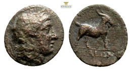 Aeolis. Aigai circa 300-200 BC. Bronze Æ 17,4 mm., 2,9 g. Head of Apollo right / AIΓAEΩN, goat standing right. very fine SNG Cop. 10; SNG von Aulock 1...