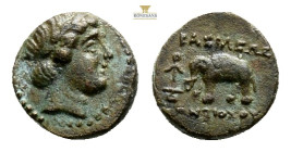 Seleucid Kingdom, Antiochus III (223-187 BC) AE (Bronze, 13mm, 1.89g). Antioch mint. Seleucid Kingdom, Antiochus III (223-187 BC) AE (Bronze, 12.3 mm,...