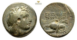 Seleukid Empire, Tryphon Æ17. Uncertain mint, circa 142-138 BC. Diademed head right / BAΣIΛEΩΣ TPYΦΩNOΣ AYTOKPATOPOΣ, spiked Macedonian helmet with ch...