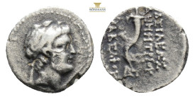 Kings of Syria. Demetrios I AR Drachm. 146-138 BC (17 mm, 3 g) Antioch. Diademed head of Demetrios right / Cornucopiae.