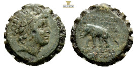 SELEUKID KINGDOM. Antiochos VI Dionysos (144-142 BC). Serrate Ae. Antioch on the Orontes. 8,6 g. 22 mm.Obv: Radiate and diademed head right.Rev: ΒΑΣΙΛ...