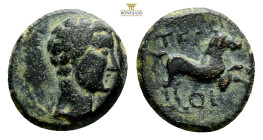 PISIDIA. Termessos (by Oenanda). Tiberius(?). Ae. 4,6 g. 18,8 mm.Obv: Bare head right.Rev: TEP / OI. Horse prancing right. RPC I 3360.