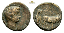 Roman Provincial, MACEDON, Philippi, Augustus (27 BC-AD 14) AE Bronze (18,5 mm, 4 g)Obv: AVG Bare head of Augustus to right.Rev: Two founders driving ...