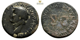 TIBERIUS (14-37). As. Rome. 25,6 mm, 10,5 g,) mm. Restitution issue struck under Titus. Obv: TI CAESAR DIVI AVG F AVGVST IMP VIII. Bare head left.Rev:...