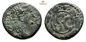 SYRIA, Seleucis and Pieria. Antioch. (21,1 mm, 6,4 g). Laureate head right / Large S C; all within wreath.
