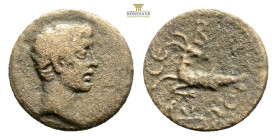 Mysia, Cyzicus. Augustus. AE. (Bronze, 2,9 g. 17 mm.) 27 BC-AD 14.Obv: Bare head of Augustus, right.Rev: CEBACTOC. Capricorn ,left.Ref: RPC Online, 22...