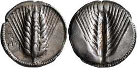 LUCANIA. Metapontion. Circa 540-510 BC. Stater (Silver, 28 mm, 8.15 g, 1 h). MET Ear of barley with eight grains; border of dots. Rev. Incuse ear of b...