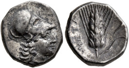 LUCANIA. Metapontion. Time of Pyrrhos of Epeiros, circa 280-279 BC. Diobol (Silver, 11 mm, 1.31 g, 6 h). Head of Athena to right, wearing Corinthian h...