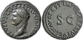 Drusus, died AD 23. As (Copper, 27 mm, 10.59 g, 6 h), restitution issue, Rome, struck under Titus, 80-81. DRVSVS CAESAR TI AVG F DIVI AVG N Bare head ...