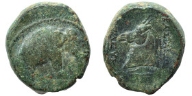 SELEUKID KINGS of SYRIA. Seleukos I Nikator, 312-281 BC. Ae (bronze, 9.50 g, 20 mm), Apamea on the Axios. Elephant standing right. Rev. ΒΑΣΙΛΕΩΣ ΣΕΛΕΥ...
