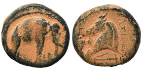 SELEUKID KINGS of SYRIA, Seleukos I Nikator, 312-281 BC. Ae (bronze, 7.06 g, 19 mm), Apamea on the Axios. Elephant standing right. Rev. ΒΑΣΙΛΕΩΣ ΣΕΛΕΥ...