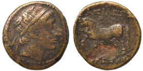 SELEUKID KINGS of SYRIA. Seleukos II Kallinikos, 246-225 BC. Ae (bronze, 3.61 g, 17 mm). Diademed head to right. Rev. BAΣΙΛΕΩΣ ΣΕΛΕΥΚΟΥ Horse prancing...