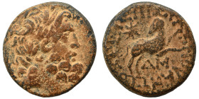 SYRIA, Seleucis and Pieria. Antioch. Pseudo-autonomous issue, time of Augustus, 27 BC-14 AD. Ae (bronze, 6.93 g, 19 mm), 13/14 AD. Laureate head of Ze...