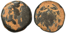SYRIA, Seleucis and Pieria. Antioch. Otho, 69. As (bronze, 17.21 g, 29 mm). Laureate head of Otho to right. Rev. ΕΠΙ/ΜΟΥΚΙΑ/ΝΟΥ·ΑΝΤ/ΙΟΧΕΩΝ/ΕΤ·ΙΖ/Ρ in ...