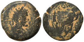SYRIA, Seleucis and Pieria. Laodicea ad Mare. Septimius Severus, 193-211. Ae (bronze, 9.58 g, 25 mm). Laureate, draped and cuirassed bust right. Rev. ...