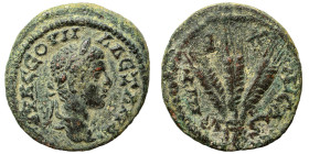 CAPPADOCIA. Caesarea-Eusebia. Severus Alexander. 222-235. Ae (bronze, 6.24 g, 21 mm). Laureate head right, slight drapery. Rev. Three grain ears. RPC ...