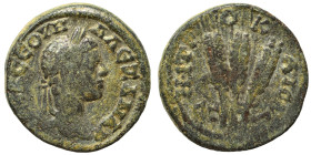 CAPPADOCIA. Caesarea-Eusebia. Severus Alexander. 222-235. Ae (bronze, 6.69 g, 20 mm). Laureate head right, slight drapery. Rev. Three grain ears. RPC ...