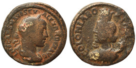 ARABIA. Bostra. Severus Alexander, 222 – 235. Ae (bronze, 7.43 g, 22 mm). IMP CAES M AVR SEV ALEXANDER AVG Laureate and draped bust of Severus Alexand...