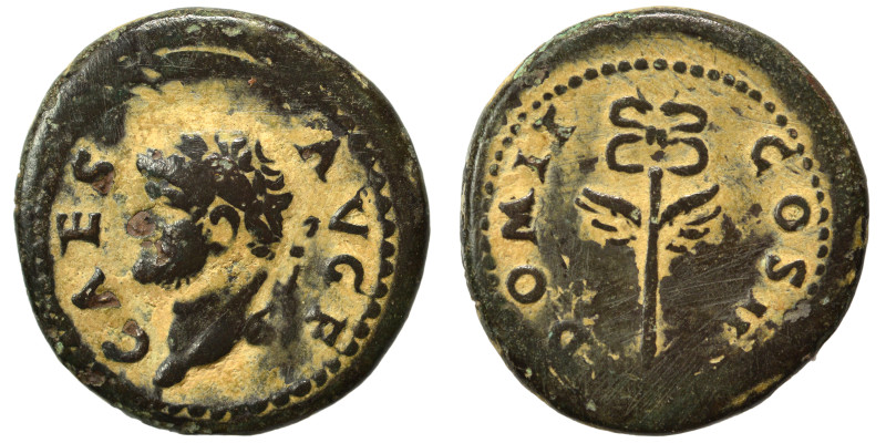 Domitian, as Caesar, 69-81. Quadrans (bronze, 4.01 g, 18 mm), Rome, for use in S...