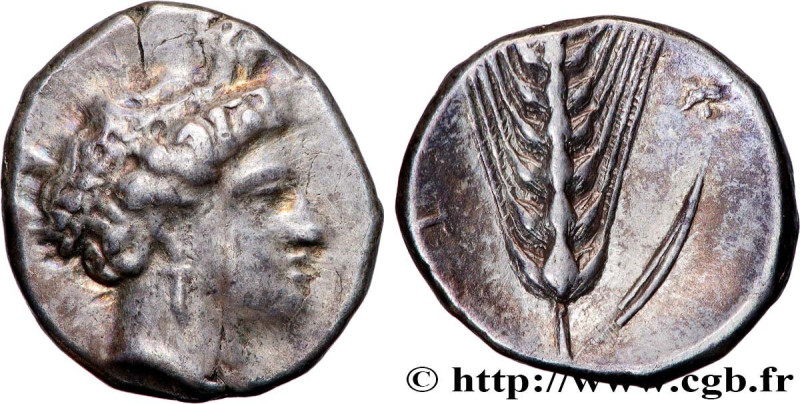 LUCANIA - METAPONTUM
Type : Nomos, statère ou didrachme 
Date : c. 400-350 AC. 
...
