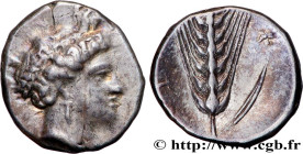 LUCANIA - METAPONTUM
Type : Nomos, statère ou didrachme 
Date : c. 400-350 AC. 
Mint name / Town : Métaponte 
Metal : silver 
Diameter : 21  mm
Orient...