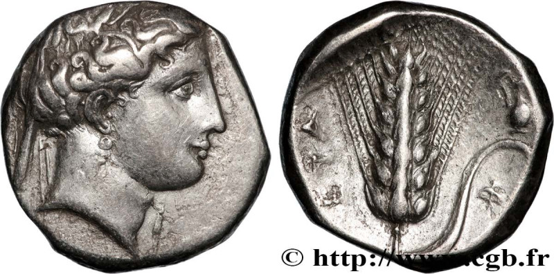 LUCANIA - METAPONTUM
Type : Nomos, statère ou didrachme 
Date : c. 340-330 AC. 
...