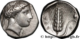 LUCANIA - METAPONTUM
Type : Nomos, statère ou didrachme 
Date : c. 340-330 AC. 
Mint name / Town : Métaponte 
Metal : silver 
Diameter : 20  mm
Orient...