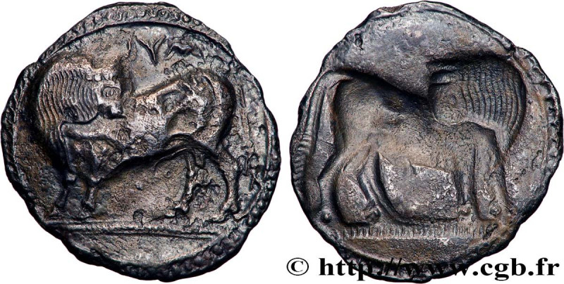 LUCANIA - SYBARIS
Type : Nomos, statère ou didrachme 
Date : c. 530-510 AC. 
Min...