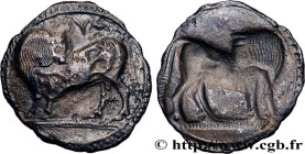 LUCANIA - SYBARIS
Type : Nomos, statère ou didrachme 
Date : c. 530-510 AC. 
Mint name / Town : Sybaris 
Metal : silver 
Diameter : 27  mm
Orientation...