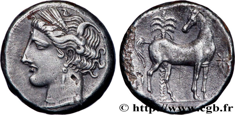 ZEUGITANA - CARTHAGE
Type : Shekel 
Date : 300-260 AC. 
Mint name / Town : Carth...
