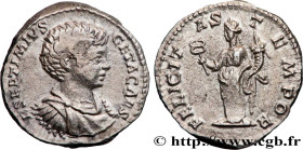 GETA
Type : Denier 
Date : 198 
Mint name / Town : Rome 
Metal : silver 
Millesimal fineness : 550  ‰
Diameter : 18  mm
Orientation dies : 6  h.
Weigh...