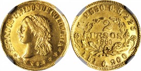 COLOMBIA. 2 Pesos, 1863-M. Medellin Mint. NGC MS-63.

Fr-97; KM-147; Restrepo-325.1. One-year type from a mintage of 2,996 pieces. Flashy, fully str...