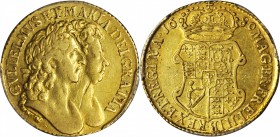 GREAT BRITAIN. Guinea, 1689. William & Mary (1689-94). PCGS Genuine--Scratch, EF Details Gold Shield.

S-3426; Fr-303; KM-474.1. Early harp design w...