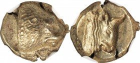 LESBOS. Mytilene. EL Hekte (2.50 gms), ca. 478-455 B.C. NGC AU, Strike: 5/5 Surface: 4/5.

Bodenstedt-28. Head of lion with closed mouth facing righ...