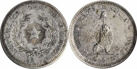 PARAGUAY. Peso, 18XX. NGC MS-63.

cf.KM-PnE37. Struck on an 1882 Argentina Peso. Produced in the latter half of the 20th century from original patte...
