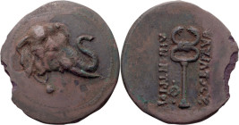Bactria, Demetrius I. AE Attic Tri-chalkon