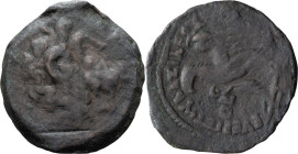 Ptolemaic, Ptolemy VIII. AE 19