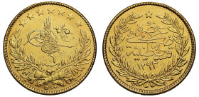 Turkey Abdul Hamid AH 1293 Year 6 gold 500 Kurush