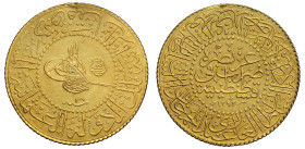 Turkey Abdul Hamid AH 1293 Year 30 gold 100 Kurush