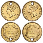 USA 1889 gold dollars pierced (2)