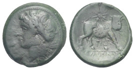 Campania, Cales. Bronze circa 265-240, Æ 21.90 mm, 7.42 g.
About VF