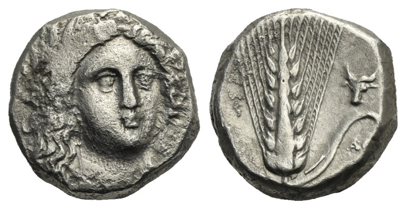 Lucania, Metapontum. Nomos circa 330-290, AR 18.18 mm, 7.35 g.
Fine/VF