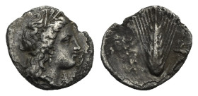 Lucania, Metapontum. Diobol circa 325-275, AR 13.45 mm, 0.91 g.
About VF
Ex Roma Numismatics E-95, n. 29